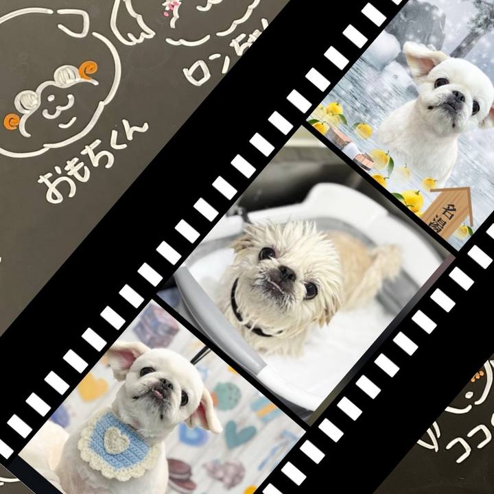 7fe92b4f 5715 4c06 8586 b469d8d923fe 1739790280176