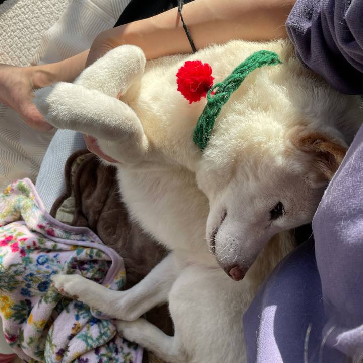 7fe93028 3e75 44b3 b770 49578b9e0dc8 1639743451055