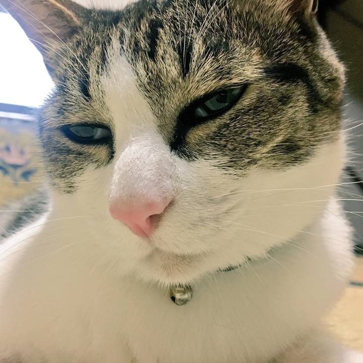 7fe9658e c01a 46fe 96c5 e69f83d1c04e 1530105180957