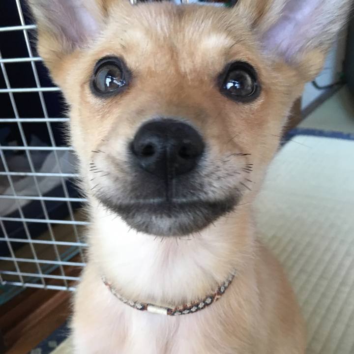 7fe9fc17 7ccb 440a b46c ade3b66a8bd1 1588291918914