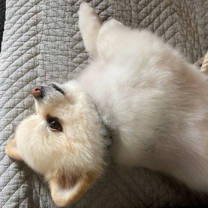 7fea04e6 f39a 4faf 979b 9821369a751a 1651836686721