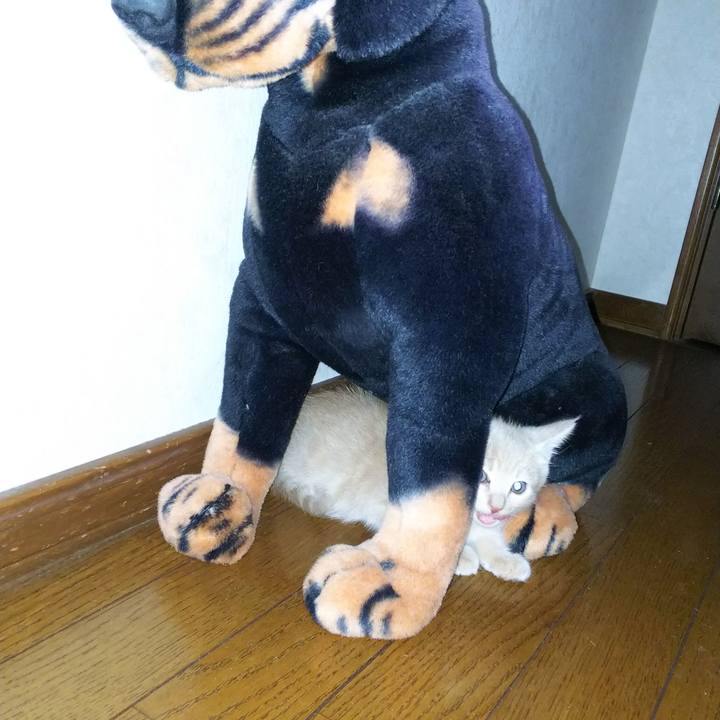 7fea24f8 083d 4b07 aa83 6b1272892fac 1569501810535