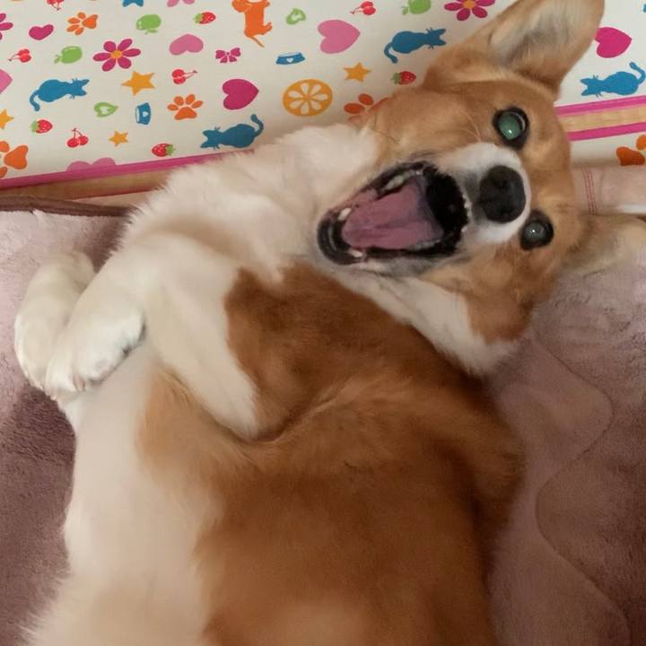 7fea3da7 9a89 4e8a a0d0 cab908ab2939 1649994313100