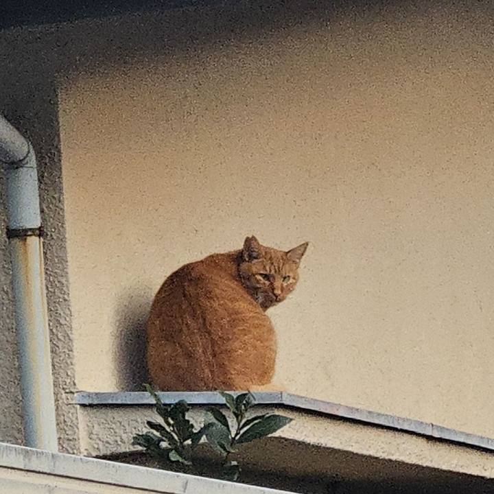 7fea4bec ca2e 4516 a45a 3e4ca40e80a0 1734050376248