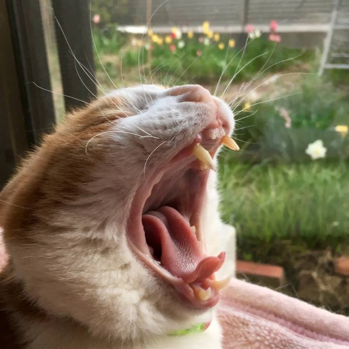 7fea7da1 23a2 4541 a502 c5de2b74e2b6 1555797577318