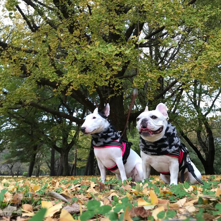 7feb01cc c18e 4714 bd66 9f3452d2c462 1510901006933