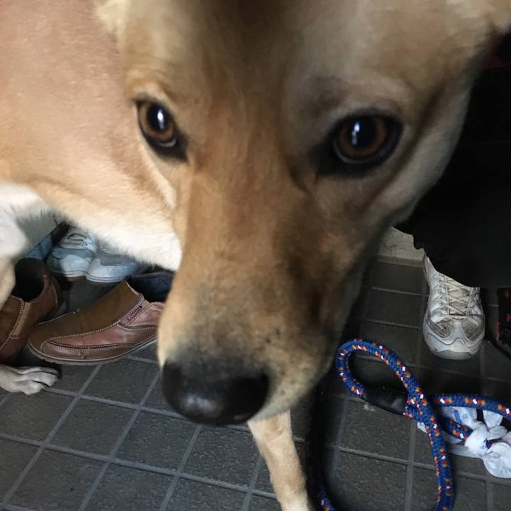 7feb15fb 9bb5 4865 92e4 c68185e74e2e 1514962330714