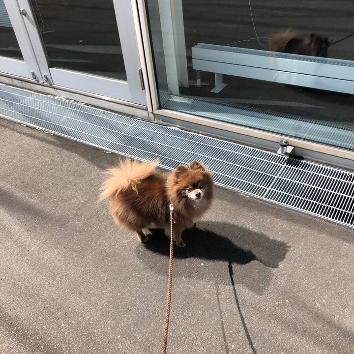 7feb2880 82d5 4e77 a87e 0b85f0bac816 1625358397128