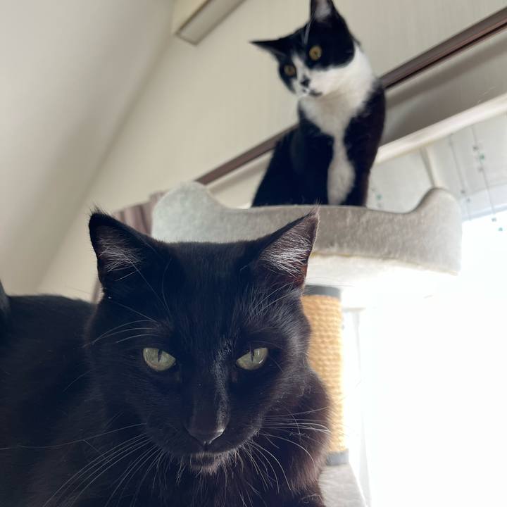 7feb33ff 0aee 46d0 ae6b a3658534f302 1710551904911