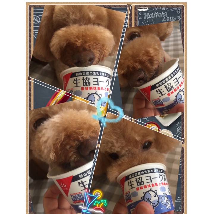 7feb462c a70b 4934 9f1a 4b9ea774ec5d 1535235801509