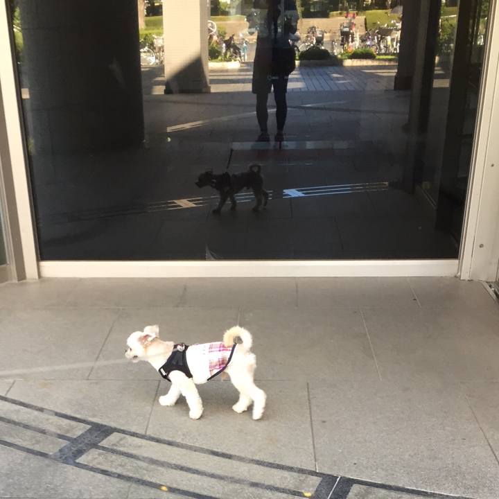 7feb5665 8f0a 4bd6 b9e7 c32e5beffe8b 1538896016902