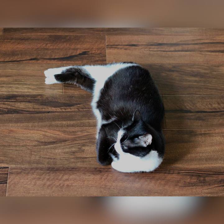 7feb70d8 225d 4eb2 b98d 383e750e16f1 1686020782905