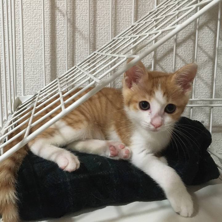 7feb7e29 b0db 4366 926f 77f2f2344fba 1629812463195