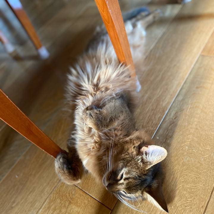 7febc037 8b42 4db4 8316 c23d31af8711 1663035633609