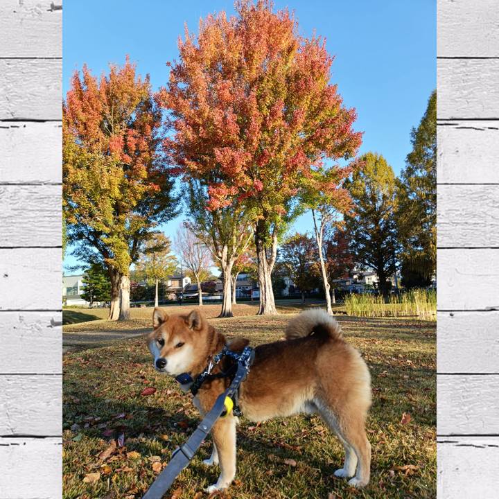 7febc931 1fa4 484d 9ef5 d8448b1bef5d 1762912438008