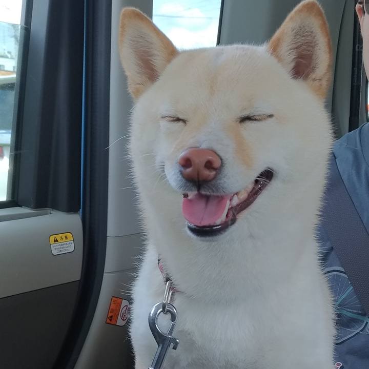 7febcac7 2b89 4883 b2d5 1bc8b3f5b5ae 1556943331894