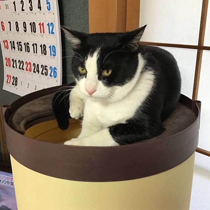 7fec154f ee9d 4899 a8cd c599cd0a34d0 1643758135709