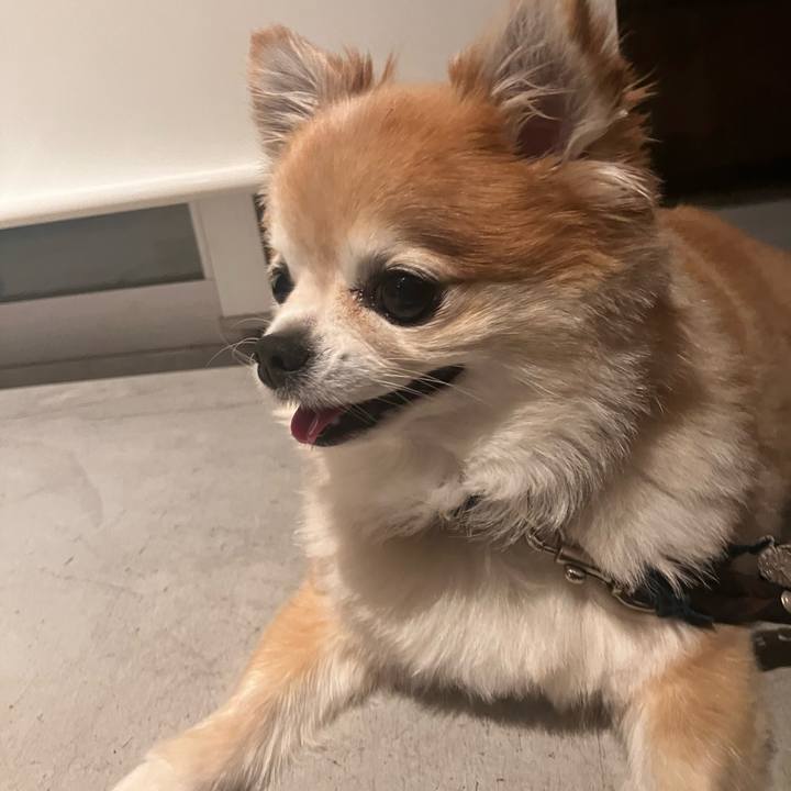 7fec2667 8b68 43b0 90b2 c7a626cc8e13 1762170695306