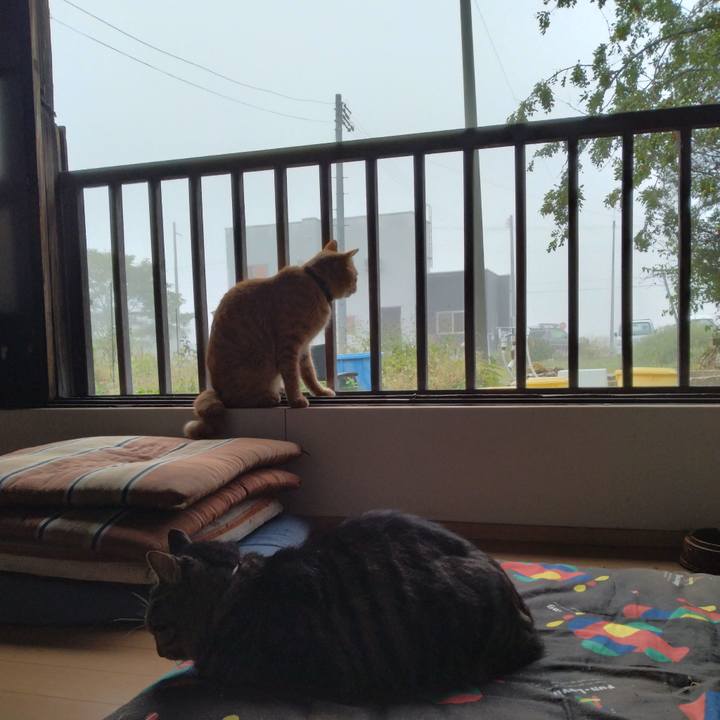 7fec508c ec8a 4640 bc97 45380002c03c 1664660191266