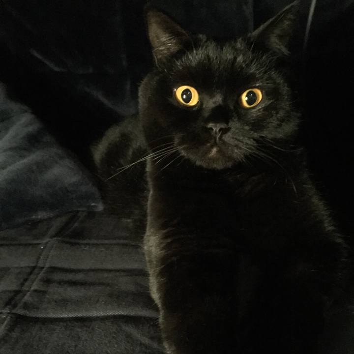 7fec5386 c629 4657 923f 492c2376cbfd 1547514150927