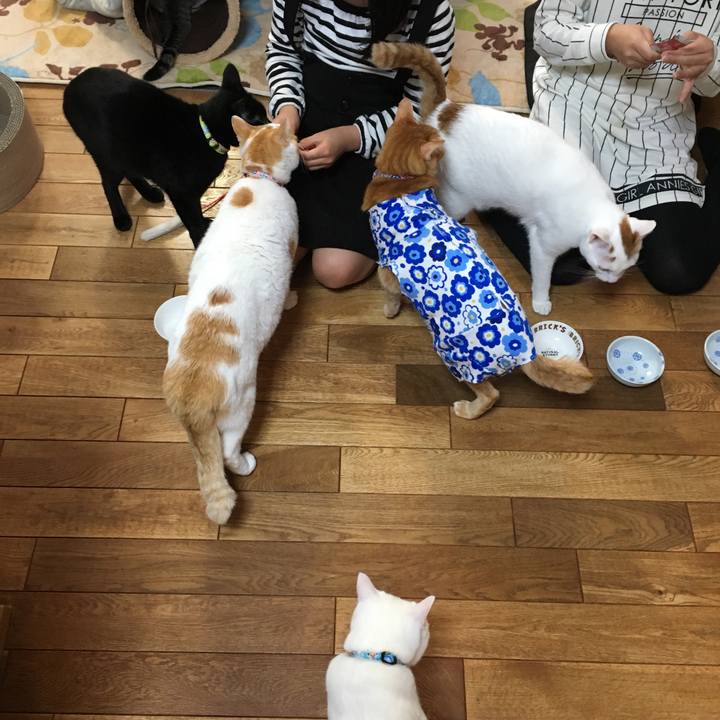 7fec5f55 2d5f 4b0c ad7c 0a0dd8ca095c 1521348266717