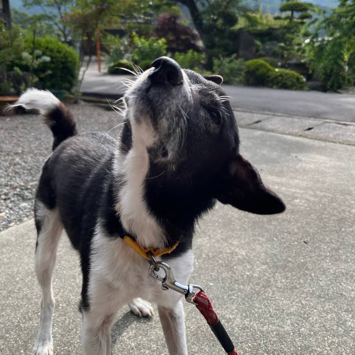 7fec70da 52b2 4f74 9c9e 9ebafb266426 1717420389690