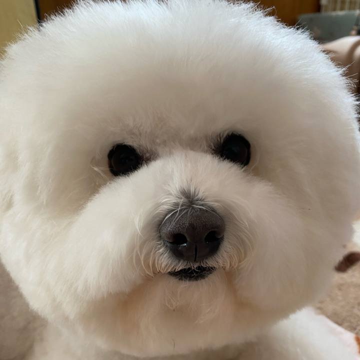 7fec73a7 e5cd 4d9b bbda 97392c1134d3 1646719773603