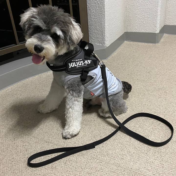 7fec7c74 952d 4bc8 adc5 0b490e1f8307 1591111805153