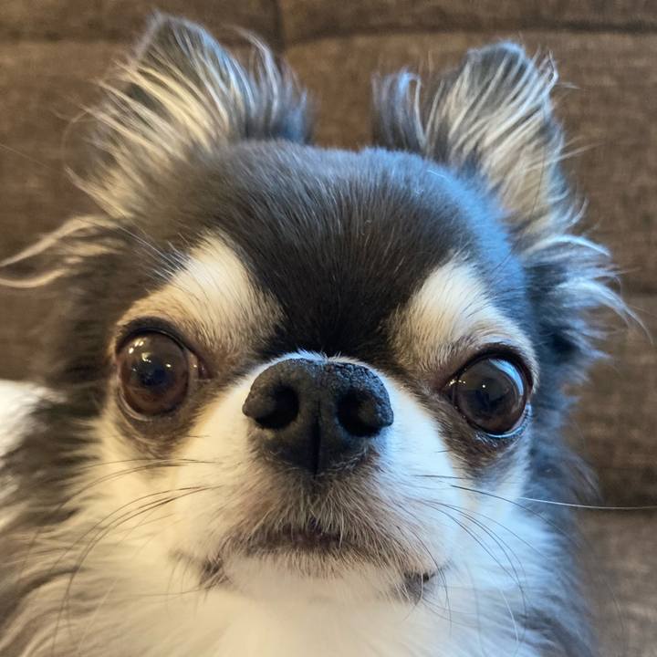 7fec88d9 3ea0 47b1 b6d3 458222ba57a9 1707520095560