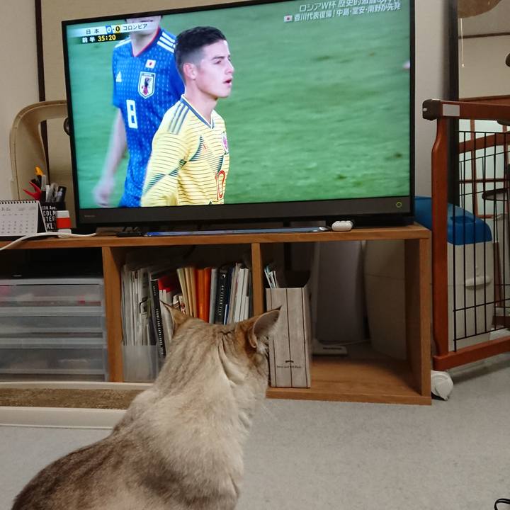 7fec9fab a56c 472b b438 ada74edce1e3 1553252436668