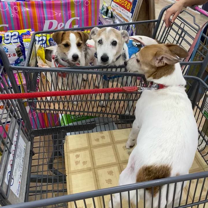 7fecbfbc a32e 4f87 bdba 332896de4eb2 1696838730038