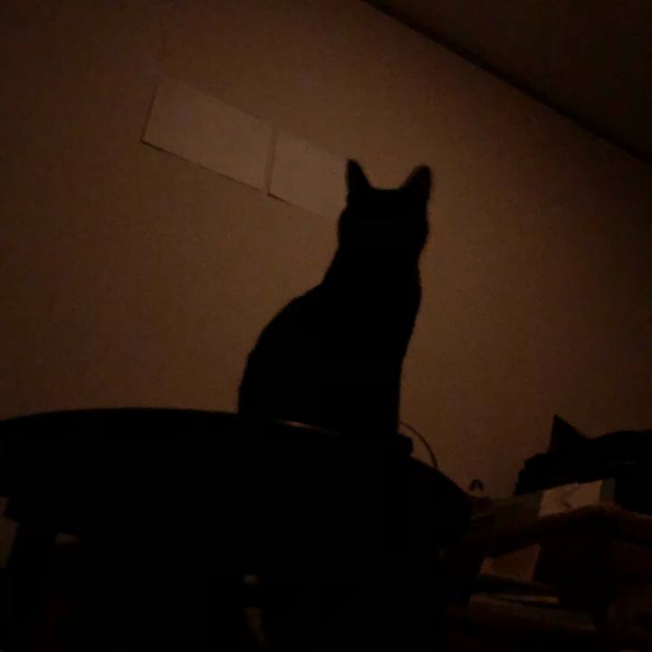 7fecc597 78aa 4026 b2c2 3149c1b0b843 1580741238876