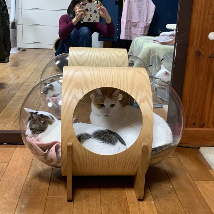 7fece81c 659d 44ce 86c2 e66b23535ddd 1580988354125