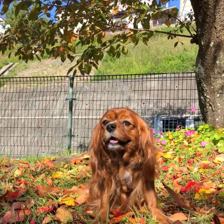 7fecf8f3 b3d2 453f 9dab 15d2c13ac7a5 1605479132194