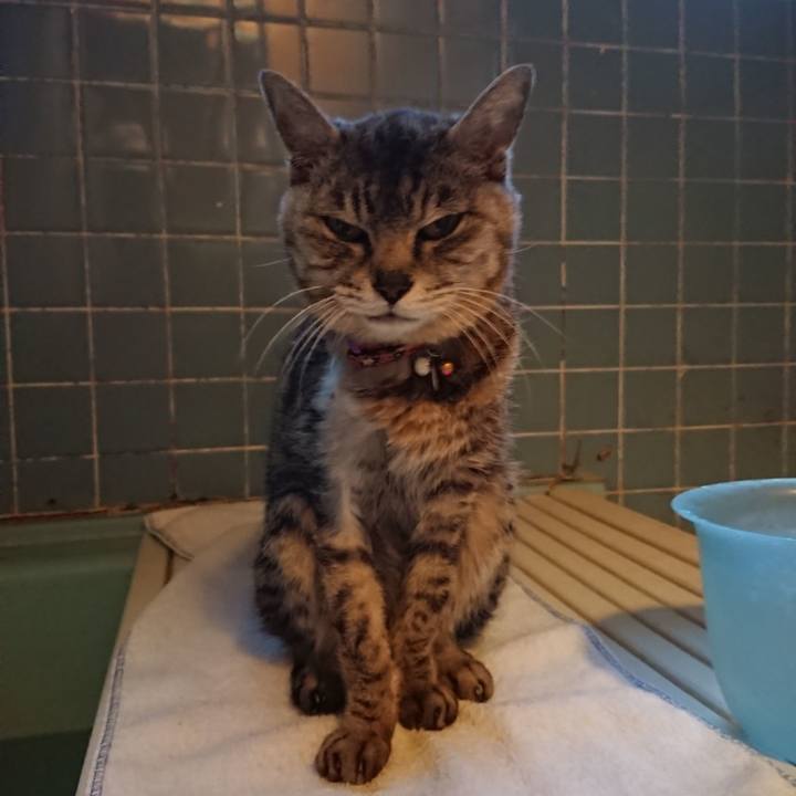 7fecfbe9 2ce7 48b8 8b92 c9df2aca7d22 1593339235385