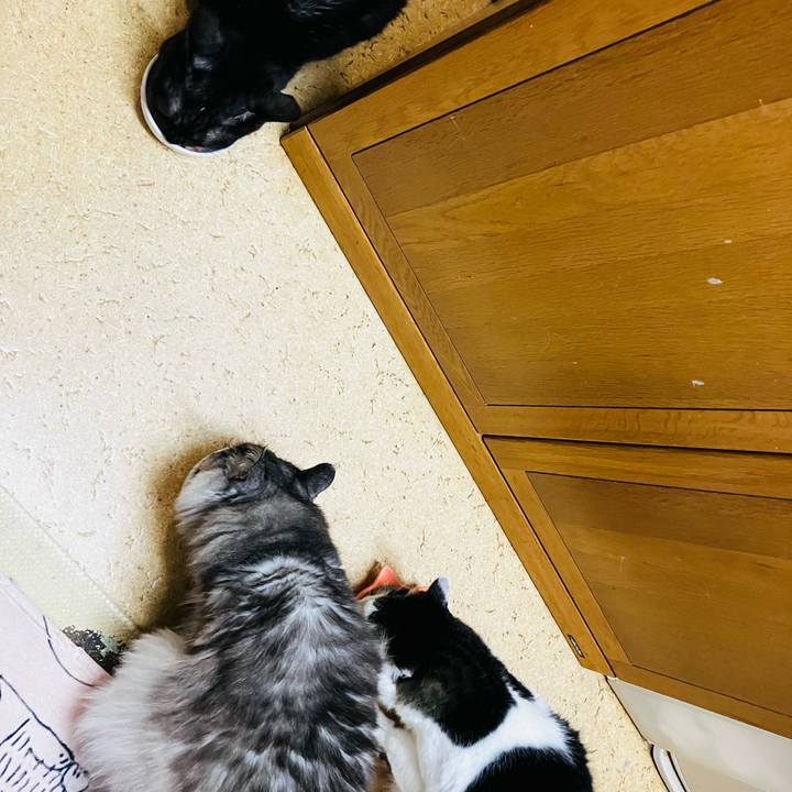 7fed07c2 592f 467e b6b8 74adc821eb18 1748398422175