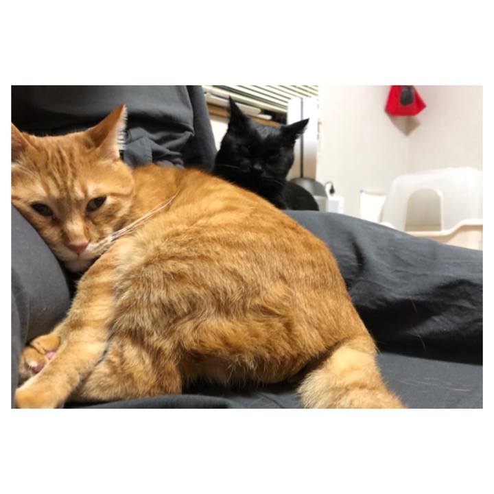 7fed19a4 d1d7 4acf 8e32 36595872db10 1606827008562