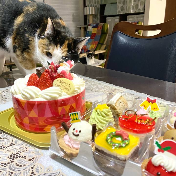 7fed5054 d2f6 455b 849c 65a2ceda7064 1608775843218