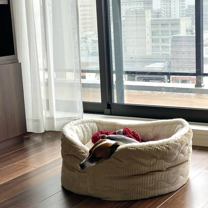 7fed60b8 8708 49ba 9ff2 a5d55b9f1670 1645936965086