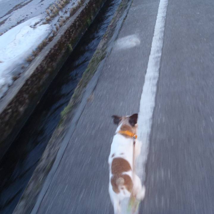 7fed841f 7bf3 4630 8add c082947d2545 1519727653889