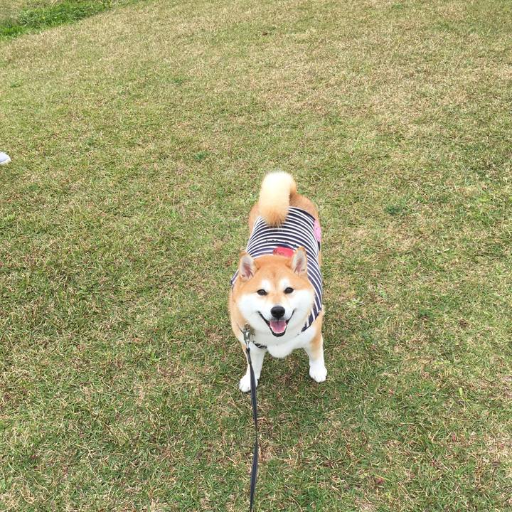 7fedd216 2c36 4519 b23c 42732c7f2f42 1541468521710