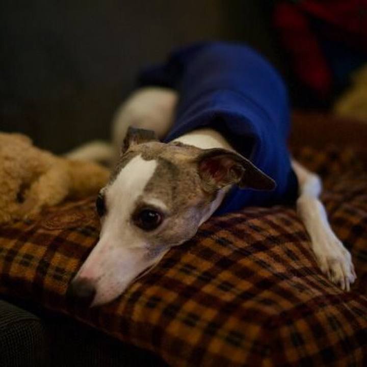 7fee2810 7846 41d6 8212 e682364e9891 1510744168363