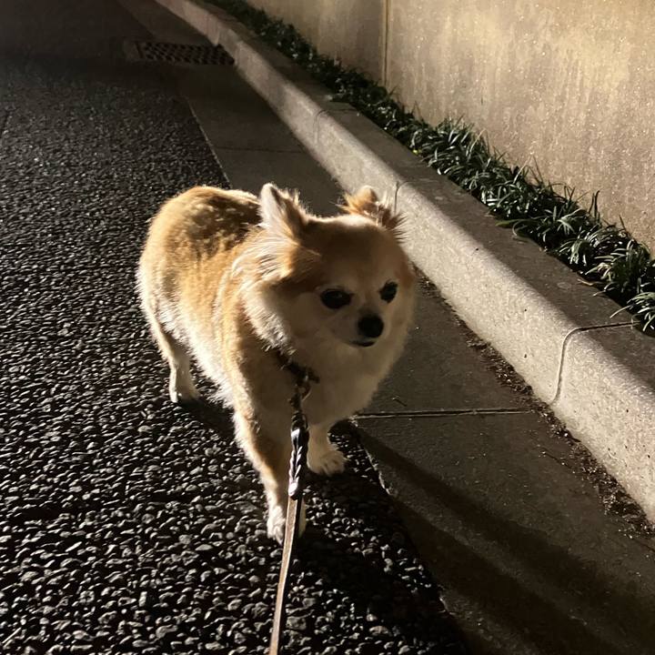 7fee41e8 726b 4cbb aa28 69490cc5ab7c 1773490955231