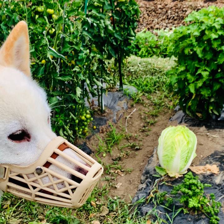 7fee4d8a 63ee 4b39 ad08 39679e1768fc 1565139002055