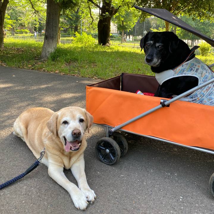 7fee521d 98dd 40b6 8760 ec4f0f117b6c 1684369989106