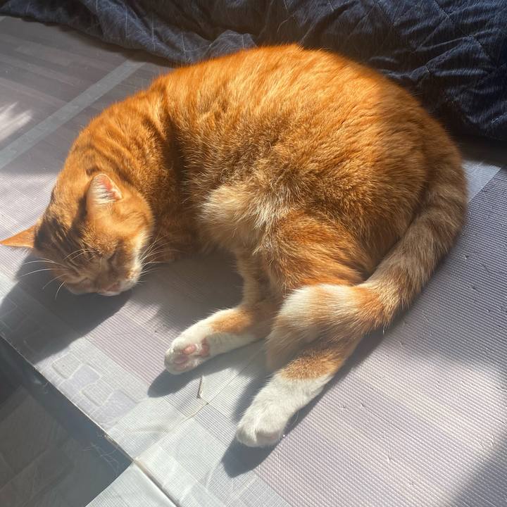 7fee52ec 7543 4239 b2c1 c4b0c301eb2c 1638157509760