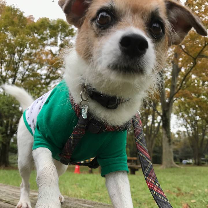 7fee7fbf bb31 4d7d 9307 d8525e0a9795 1571544034114