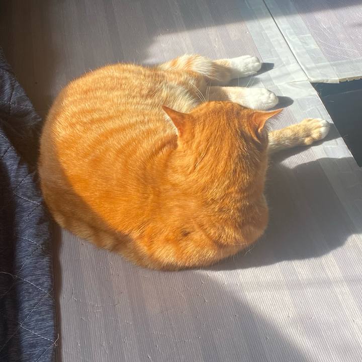 7fee9f44 c993 4e17 ad4c f02916185543 1638157418775