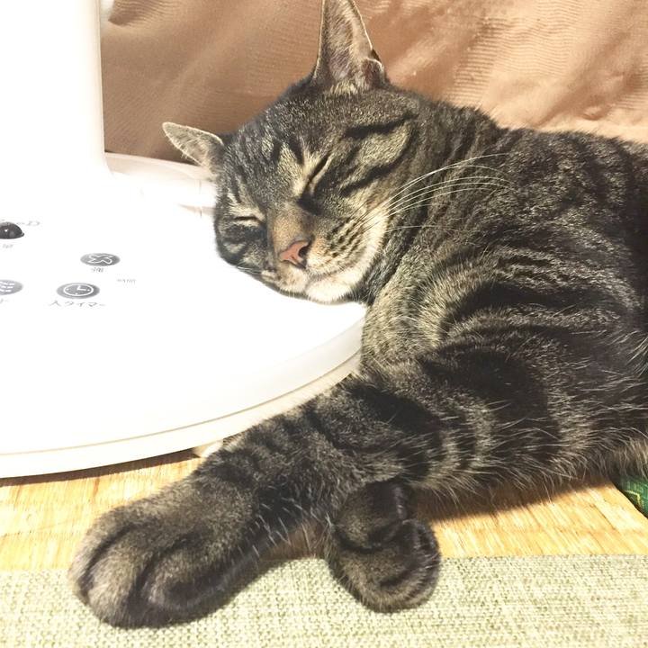 7feeb9b5 05ae 47bf b76f 4fb7a6a00ccb 1595752231188