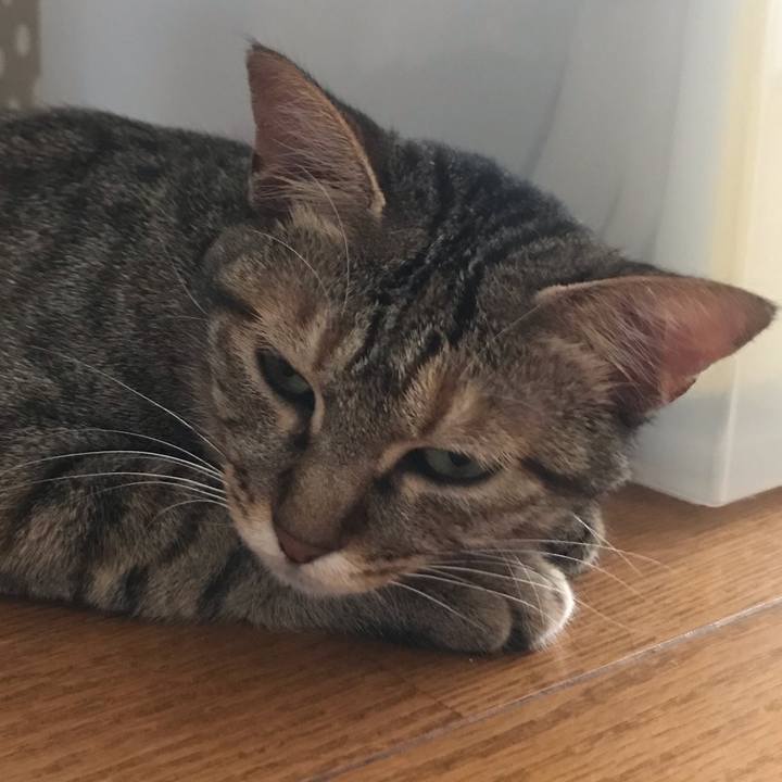 7feec779 453a 4f39 be51 3c1387c51b8e 1591260513532